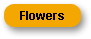 Flowers Gallery