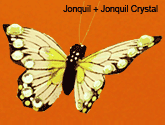 Jonquil + Jonquil Crystal