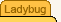 Ladybug